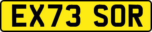 EX73SOR