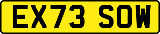 EX73SOW