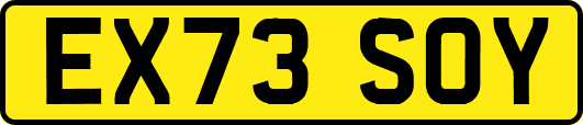 EX73SOY