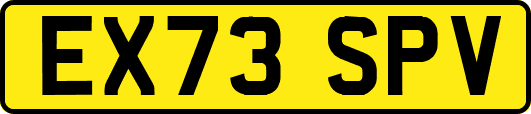EX73SPV