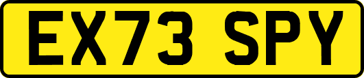 EX73SPY