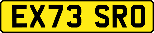 EX73SRO
