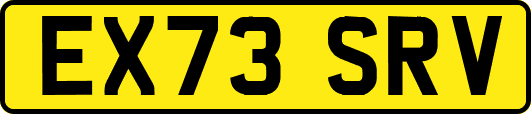 EX73SRV