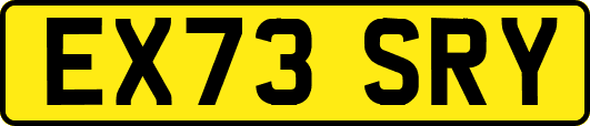 EX73SRY