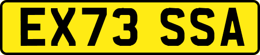 EX73SSA