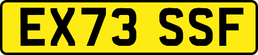 EX73SSF