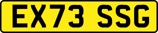 EX73SSG