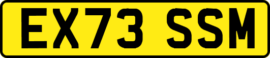 EX73SSM
