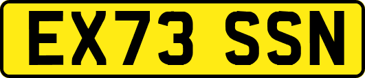 EX73SSN
