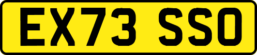 EX73SSO