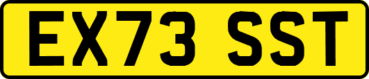 EX73SST