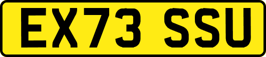 EX73SSU