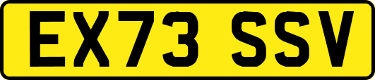 EX73SSV