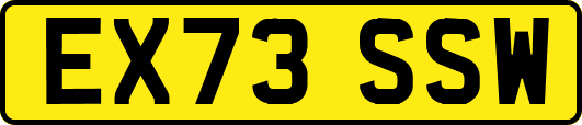 EX73SSW