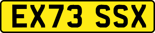 EX73SSX