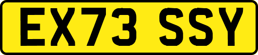 EX73SSY