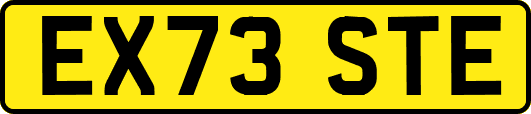 EX73STE