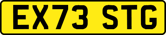 EX73STG