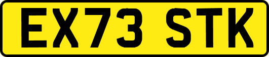 EX73STK