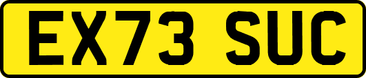 EX73SUC