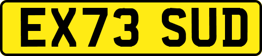 EX73SUD
