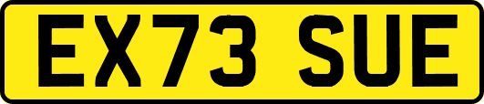 EX73SUE