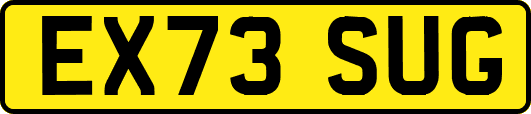 EX73SUG