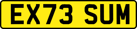EX73SUM