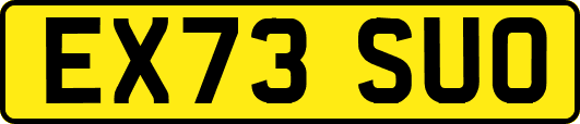 EX73SUO