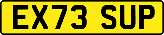 EX73SUP