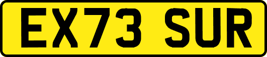 EX73SUR