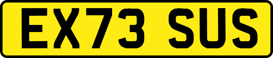 EX73SUS