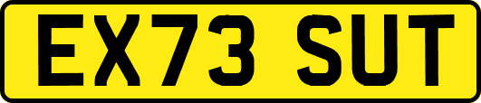 EX73SUT