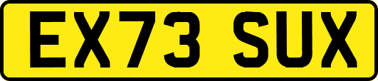 EX73SUX