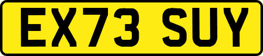 EX73SUY