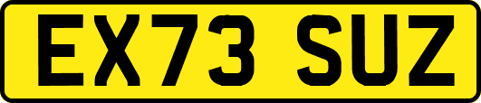 EX73SUZ