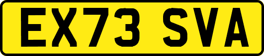 EX73SVA