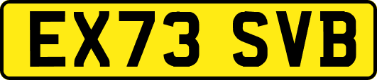 EX73SVB