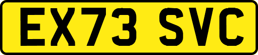 EX73SVC