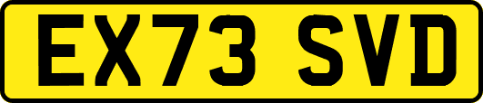 EX73SVD