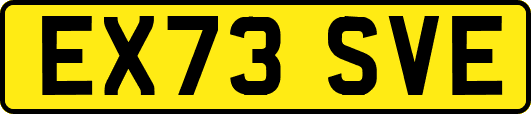 EX73SVE