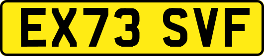 EX73SVF