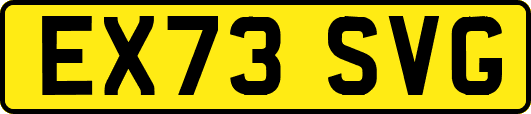 EX73SVG