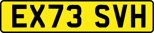 EX73SVH