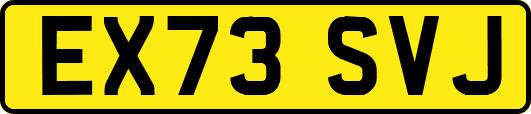 EX73SVJ