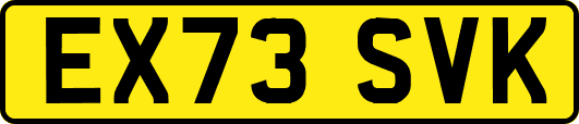 EX73SVK