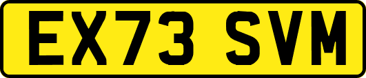 EX73SVM