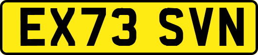 EX73SVN