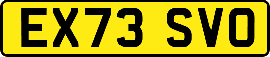 EX73SVO