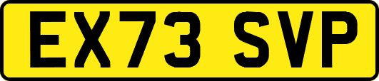 EX73SVP